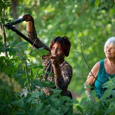 Webinar om å søke innovasjonsmidler diakoni