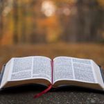 Bibelen i utvalgte lokale planer