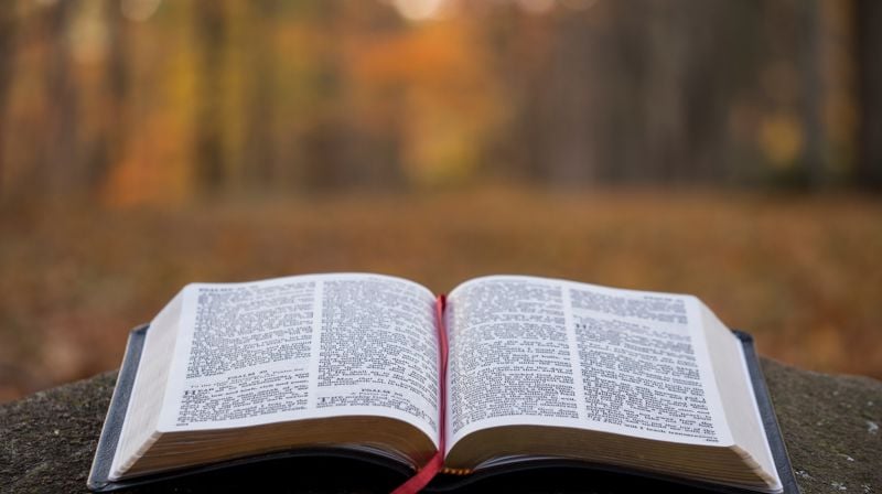 Bibelen i utvalgte lokale planer