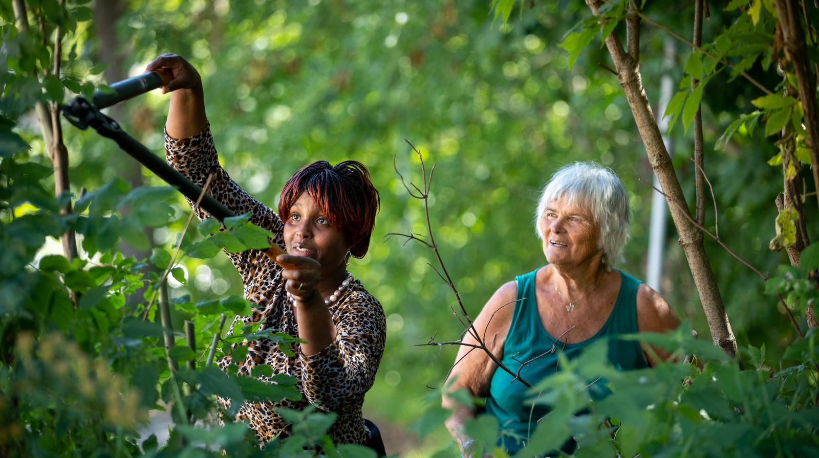 Utlysning innovasjonsmidler diakoni 2026