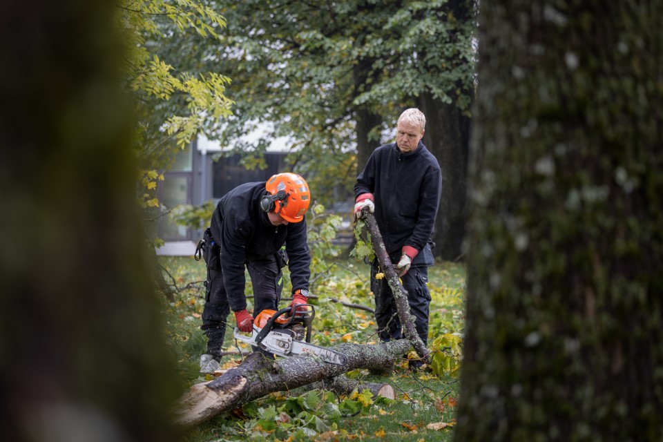 Ekstremværet "Hans" – gudstjenesteressurser