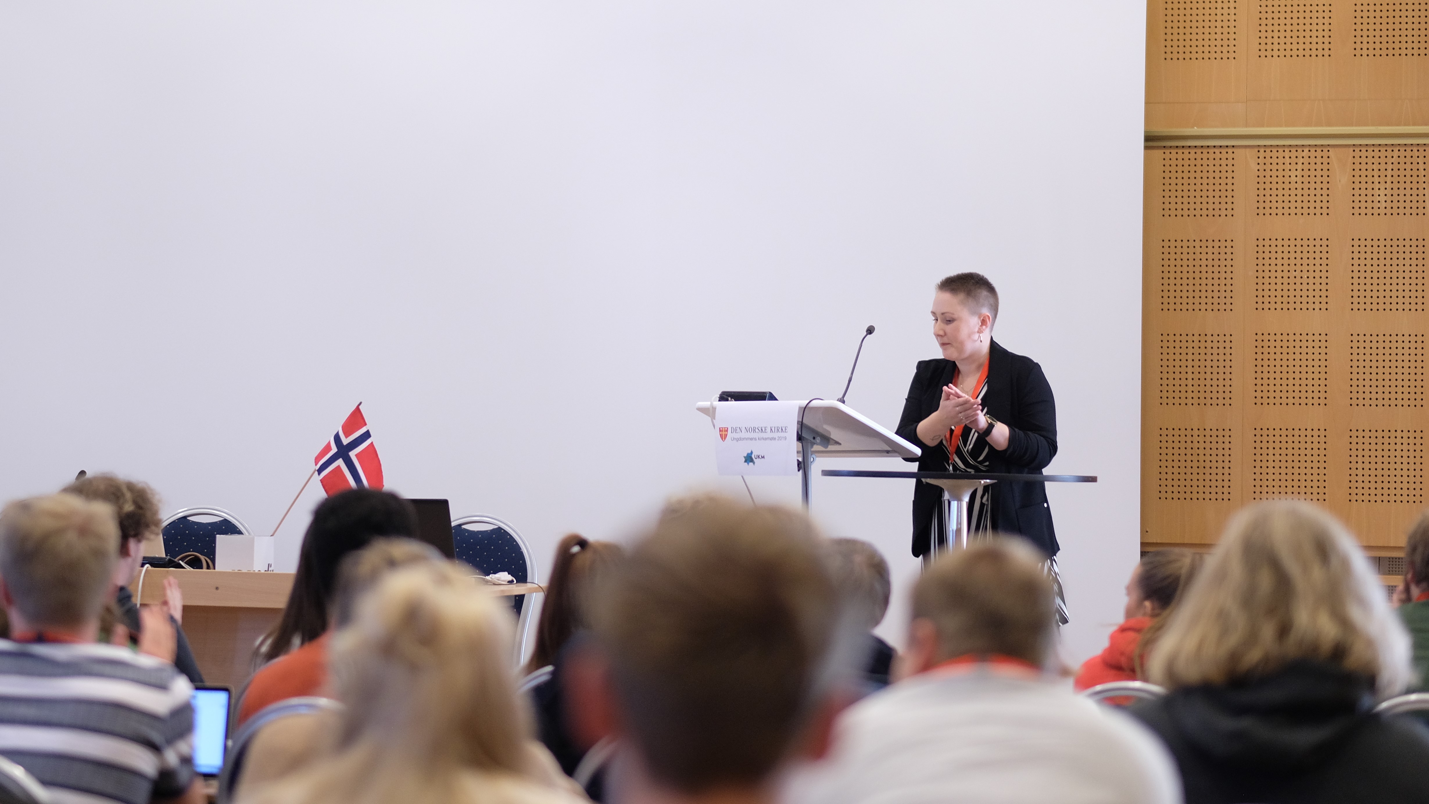 Ungdomsdemokratiet i Den norske kirke
